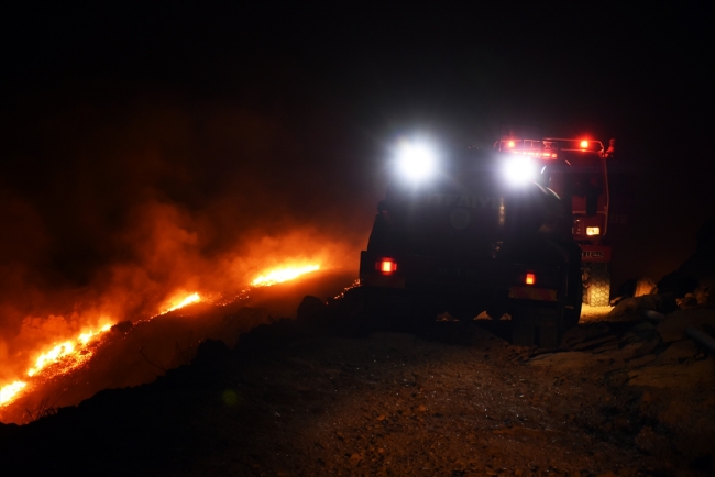 Bodrum’da makilik alanda yangın